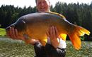 Söll_Michael hat den größten Fisch gefange_WilderK