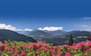 Söll_Panorama_Wilder Kaiser
