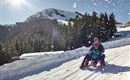 Söll_Rodelverleih_WilderKaiser