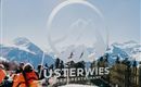 Usterwies