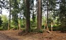 Waldpark 2