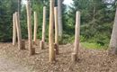 Waldpark 4