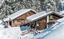 Winter 2