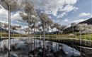 Wolken