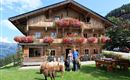 Zieplhof Sommer