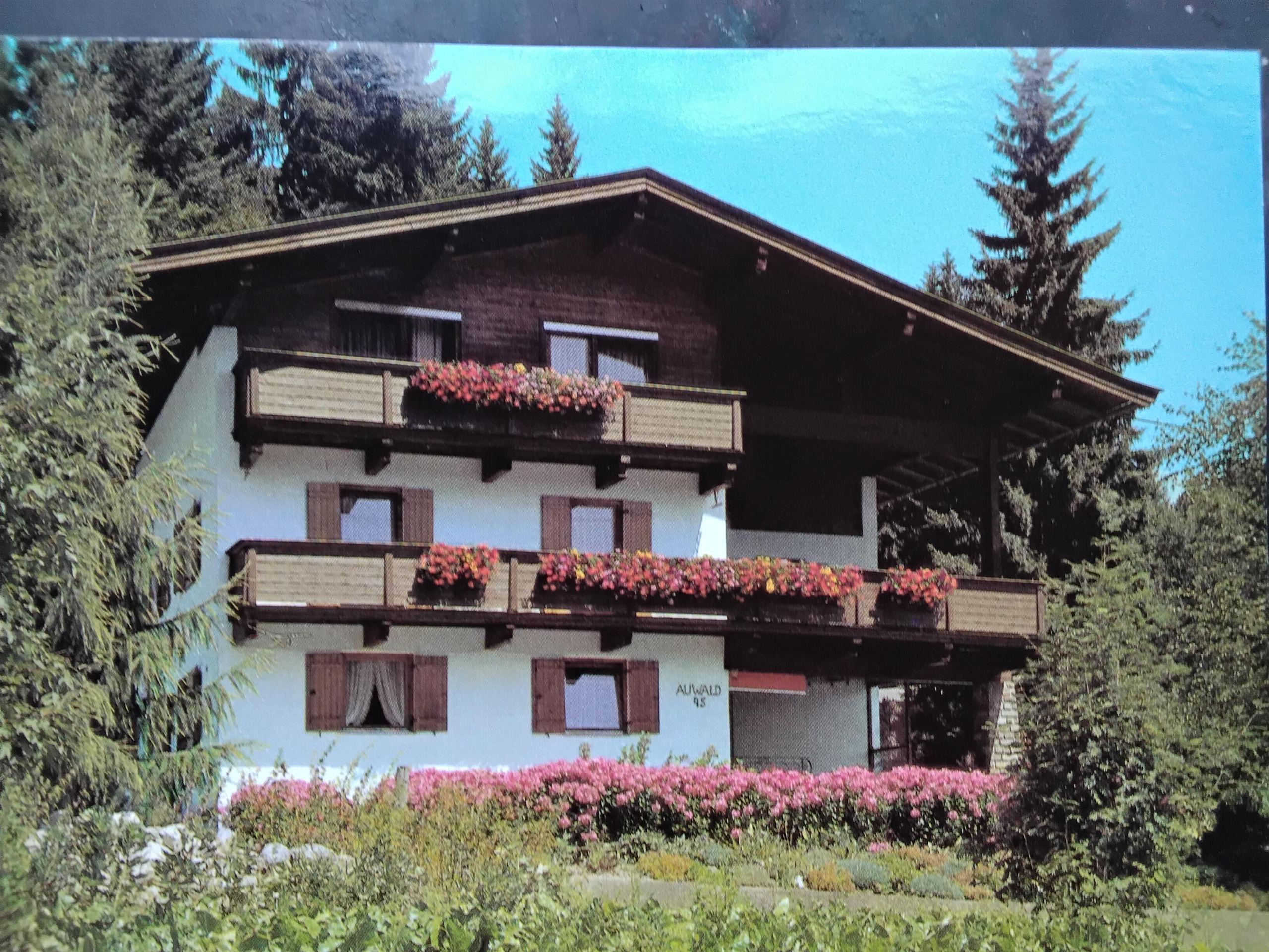 Ein traditionelles Chalet mit blühenden Balkonkästen und einem gepflegten Garten. Umgeben von Bäumen und einer klaren blauen Himmel.