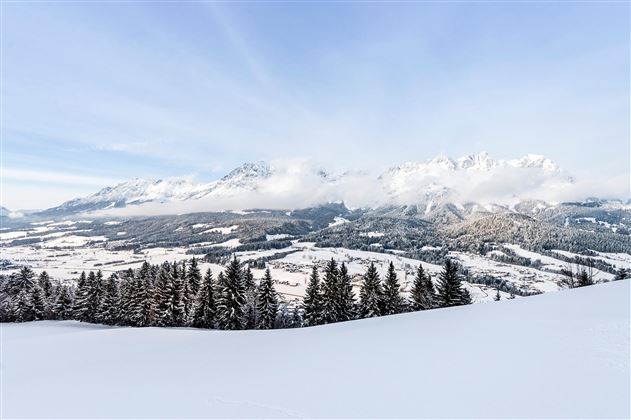 A wintry landscape with snow-covered fields and fir trees. In the background, majestic mountains rise under a clear sky.