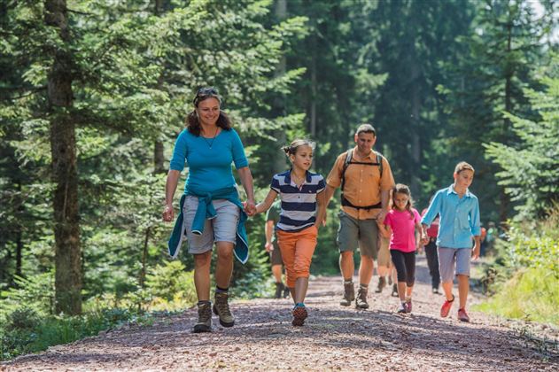 A family is hiking on a path through a green forest. The children are holding hands and enjoying nature.