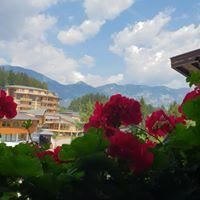 Der Blumenduft und die Aussicht