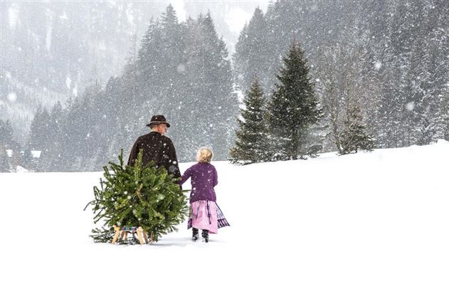 advent-berge-kitzbüheleralpen