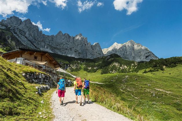 Eine Gruppe von Wanderern geht einen Weg in den Bergen. Im Hintergrund sind beeindruckende Felsen und eine Wälderlandschaft zu sehen.