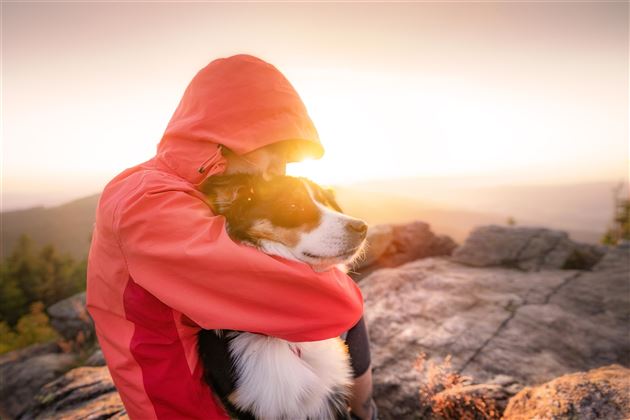 Aparthotel-Old-School-Söll-Hunde-lieben-wandern