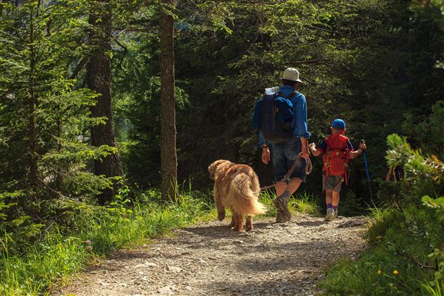 Aparthotel-Old-School-Söll-Wanderurlaub-Hunde