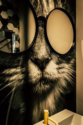 Ein großes Katzenporträt mit einer Brille ist an der Wand zu sehen. Darunter befindet sich ein Waschbecken mit einem gelben Wasserhahn.