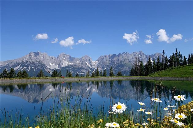 A picturesque mountain landscape with a clear lake. Next to the water, white flowers bloom under a radiant blue sky.