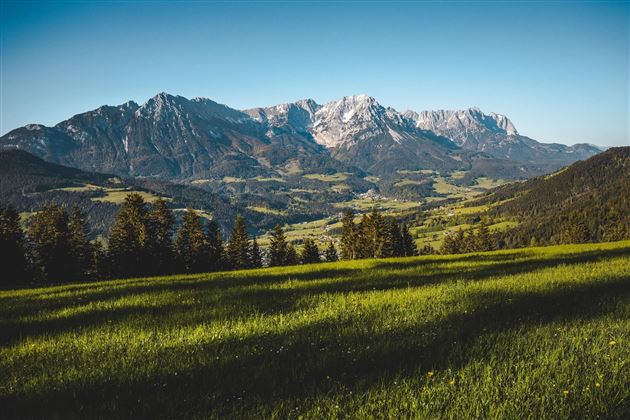 Fruehling-Landschaft-Scheffau-WilderKaiser