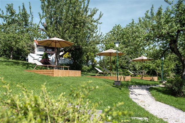 A green garden area with sun umbrellas and loungers. The space is surrounded by trees and offers an inviting, quiet place to relax.