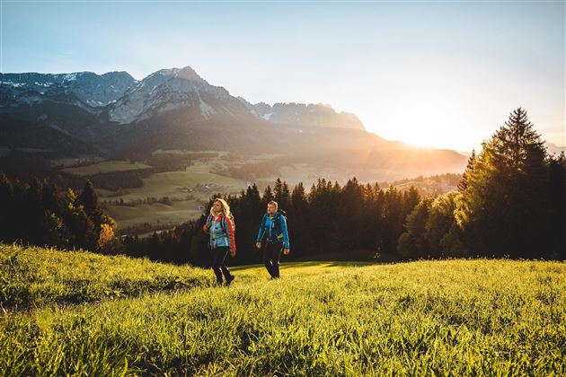 Two hikers are walking through a green meadow with mountains in the background. The sun is shining and the sky is clear.