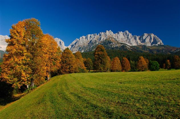 A picturesque landscape with colorful autumn trees and majestic mountains in the background. The sky is clear and blue, while a green meadow characterizes the foreground.
