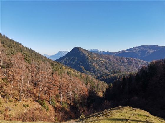 Not far from the hotel, this beautiful hike begins (also great for touring in winter!!)