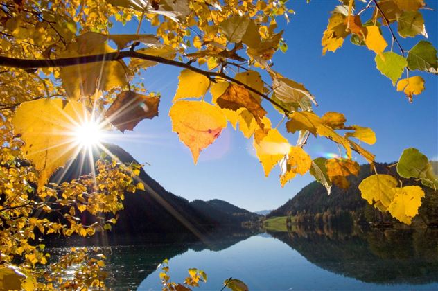 A beautiful autumn view with bright yellow leaves and a reflecting water surface. The sun shines brightly over the mountains and the clear blue sky.