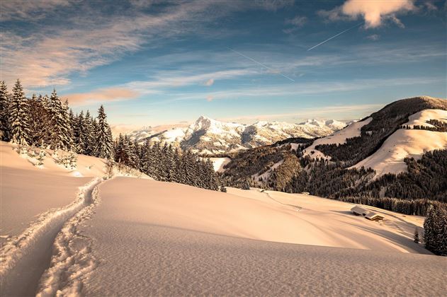 A winter landscape with snow-covered mountains and trees in the foreground. The sky is clear and blue, creating a calm atmosphere.