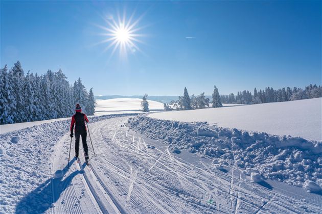 A person is skiing on a snowy cross-country trail under a clear blue sky. The sun shines brightly over a winter landscape with snow-covered trees.