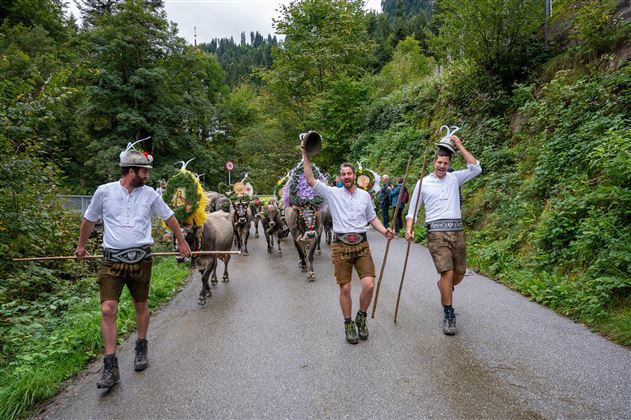 A group of people in traditional costume accompanies a herd of animals along a country road. Surrounded by green trees and mountains, they celebrate a lively tradition.