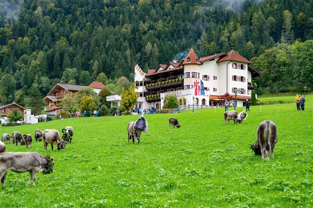 A picturesque alpine area with a large meadow and cows grazing. In the background stands a traditional building with balconies and colorful flowers.
