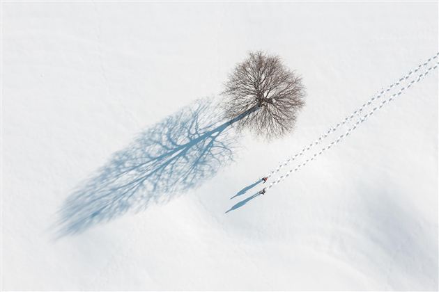 A single tree stands in the snow, while its shadow falls on the white surface. Nearby, two people can be seen walking through the snow.
