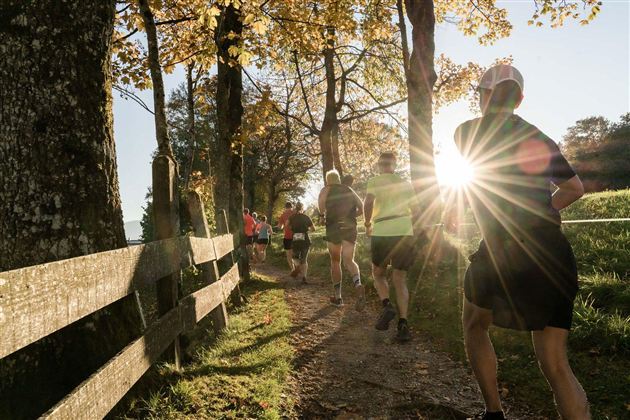 A group of runners enjoys a sunrise on a picturesque forest trail. The autumn leaves glow in the sunlight.