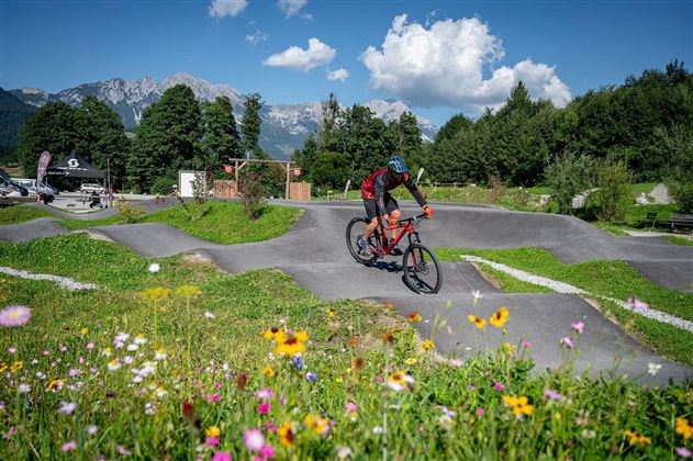 A cyclist rides over a BMX track in the midst of a green landscape. In the foreground, colorful flowers bloom in front of an impressive mountain backdrop.