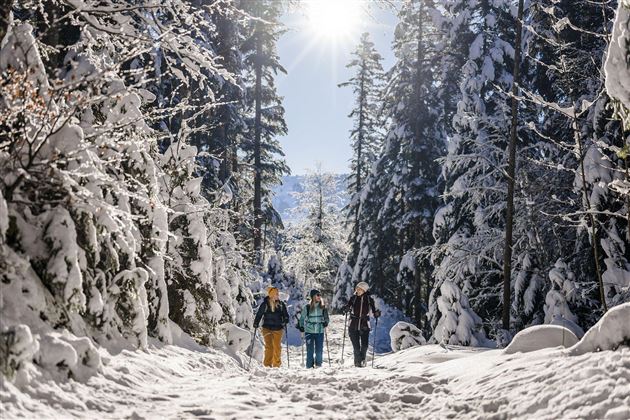 Eine verschneite Waldlandschaft mit hohen Bäumen. Drei Personen gehen fröhlich einen Weg entlang, während die Sonne scheint.