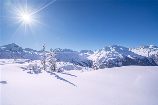 A winter landscape with snow-covered mountains and bright sunshine. In the foreground are scattered, frozen trees.