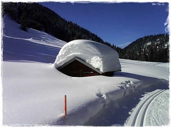 winter