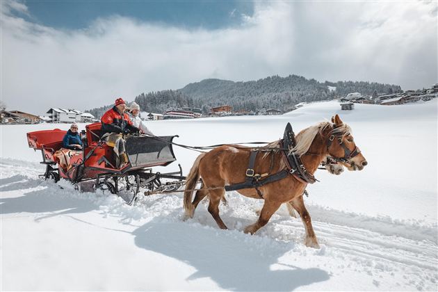 A horse pulls a snowy carriage through a wintry landscape. In the background, snow-covered hills and some houses can be seen.