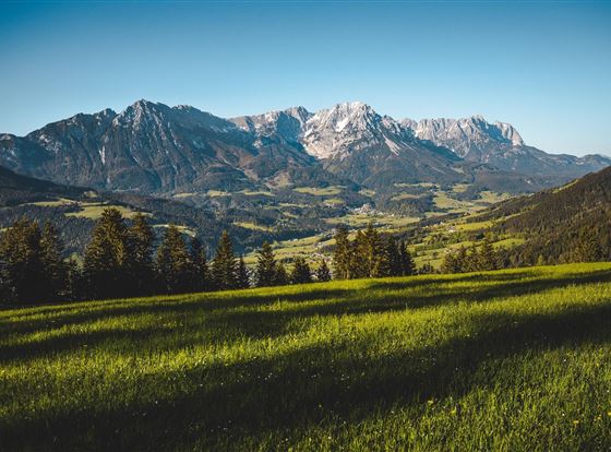 Eine grüne Wiese mit Blick auf beeindruckende Berggipfel und einen strahlend blauen Himmel. Die Landschaft ist ruhig und naturschön.