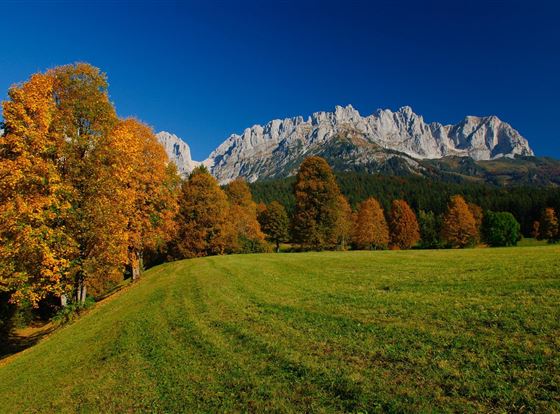 Eine malerische Landschaft mit bunten Herbstbäumen und majestätischen Bergen im Hintergrund. Der Himmel ist klar und blau, während eine grüne Wiese den Vordergrund prägt.
