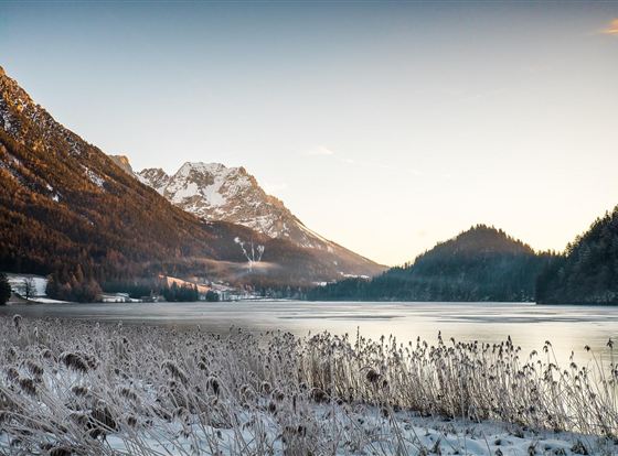 Ein winterlicher See umgeben von schneebedeckten Bergen. Die Landschaft ist von frostigen Pflanzen und sanften Lichtverhältnissen geprägt.