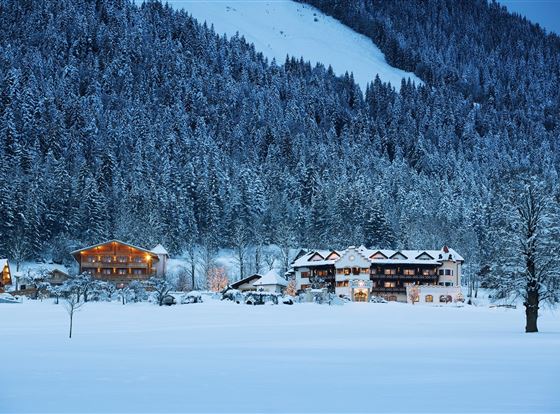 Eine malerische Winterlandschaft mit schneebedeckten Bäumen und freundlichen Hütten. Die Lichter der Häuser strahlen in der Dämmerung und schaffen eine gemütliche Stimmung.
