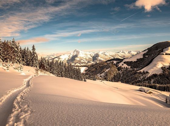 Eine verschneite Landschaft mit hohen Bergen und grünen Nadelbäumen. Der Himmel ist klar und blau, während die Sonne auf die Schneeoberfläche scheint.