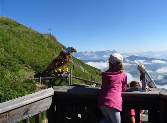 Naturerlebnis Kaisergebirge