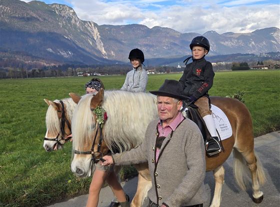 Pferdeerlebnis (c) Starmacher Hof (1)