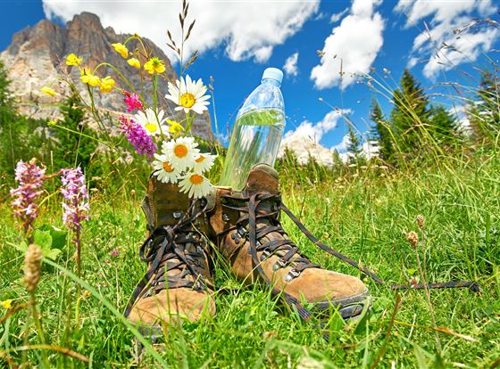 Wanderschuhe stehen auf grünem Gras, umgeben von bunten Blumen. In einem Schuh steht eine Flasche Wasser, und der Himmel ist blau mit weißen Wolken.