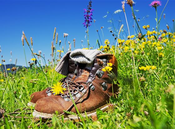 Ein Paar Wanderstiefel liegt in einer bunten Blumenwiese. Die Sonne scheint am klaren blauen Himmel.