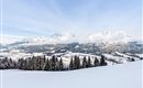 A winter landscape with snow-covered mountains and fir trees. The sky is clear and blue, perfect for a view of nature.