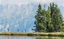 A group of hikers is walking along the shore of a lake. In the background, majestic mountain peaks and green trees are visible.