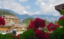Der Blumenduft und die Aussicht