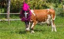 A cow is standing in a meadow wearing a colorful headpiece made of flowers and feathers. In the background, there are trees and a fence visible.