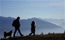 Aparthotel-Old-School-Söll-Wandern-Alpen